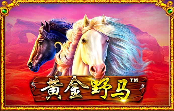 豪赢体育app下载