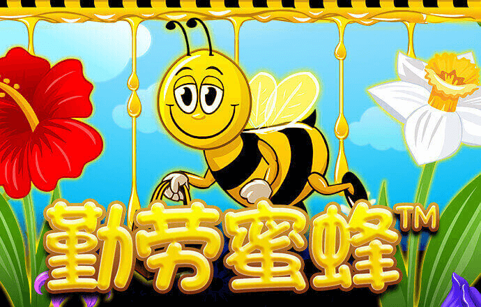 OD体育平台登录